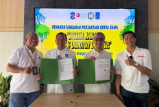 ITS dan BRIDA Kembangkan Mangrove Surabaya Jadi Laboratorium Alam Berbasis Teknologi