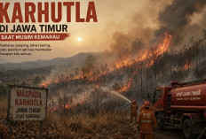 Karhutla Musim Kemarau di Jatim Masih Terkendali, Dinas Kehutanan Pastikan Belum Berdampak Besar