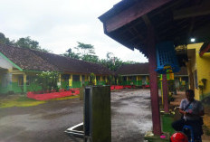 Emosi Uang Mahar Hilang, Guru SD di Jember Paksa Murid Buka Baju Berujung Mutasi