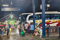 Siap-Siap! Pendaftaran Mudik Gratis Jatim Dibuka 2 Maret untuk 11.000 Orang