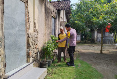Bhabinkamtibmas Polsek Widodaren Monitoring Budidaya Cabai Warga, Dukung Ketahanan Pangan di Ngawi 