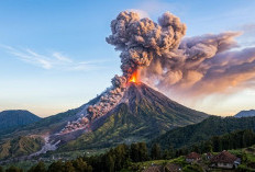 Semeru Erupsi, Kolom Abu Membubung 1.000 Meter ke Arah Timur