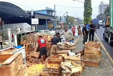 Truk Pengangkut Telur Terguling di Bypass Pandaan Pasuruan, Tiga Motor Terjatuh