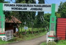 HGU Perumda Panglungan Jombang Mati Setahun, Perpanjangan Terkendala Selisih 5 Hektare
