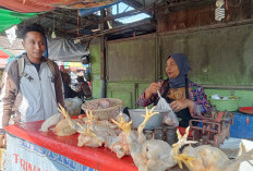 Harga Ayam di Pasar Ngemplak Masih Rp38 Ribu per Kg, Beberapa Hari Lagi Diprediksi Turun