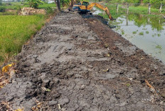 Pemkab Lamongan Atur Buka Tutup Dam Corong, Amankan Air untuk Padi MT II