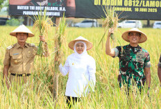 Produksi Padi Jatim Tembus 9,86 Juta Ton, Gubernur Khofifah: Petani Harus Makin Sejahtera