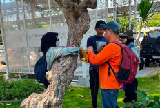 Terminal Teluk Lamong Gandeng BRIN Perkuat Riset Ekologis Dukung Keanekaragaman Hayati