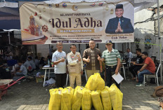 Ketua Komisi A DPRD Surabaya Salurkan 41 Hewan Kurban, Sasar Konstituen hingga Ojol