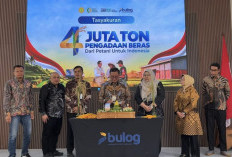 Cetak Rekor Baru, Pengadaan Beras Bulog Tembus 4,11 Juta Ton