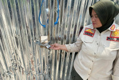 Pabrik Ayam di Banjardowo Disetop, Belum Kantongi Izin PBG Meski Sudah Punya NIB