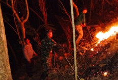 Hutan Jati Perhutani di Pagerwojo Blitar Terbakar, TNI dan Warga Berjibaku Padamkan Api