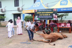 Semangat Berbagi Iduladha, Kodim Sumenep Sembelih Hewan Kurban untuk Warga