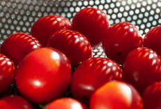 Manfaat Masker Tomat untuk Perawatan Alami Menjaga Kesehatan Kulit Wajah