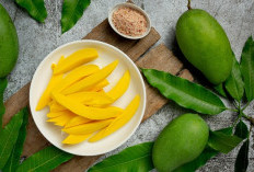 Kaya Serat atau Tinggi Vitamin A? Simak Perbedaan Kandungan Nutrisi Mangga Muda dan Matang