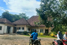 Tak Sekadar Heritage, Kampung Belgia Jember Jadi Saksi Bisu Perkebunan Dunia dan Lokasi Syuting Film Nasional