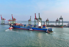Arus Perikemas Internasional Terminal Teluk Lamong Tumbuh Lebih dari 90 Persen