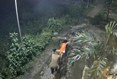 Komplotan Curanmor Bersenjata Pedang Teror Indekos di Purwosari Pasuruan Terekam CCTV
