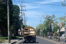Bak Sampah Berlubang Dikeluhkan Warga, DLH Gresik Targetkan Perbaikan 12 Kontainer dan Pengadaan Unit Baru