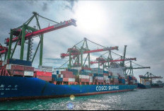 TTL Catat Arus Petikemas 2,8 Juta TEUs Sepanjang 2025