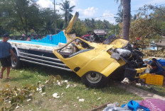 Truk Muatan Ikan Asal Lamongan Terguling di JLS Tulungagung, Sopir dan Kernet Terluka