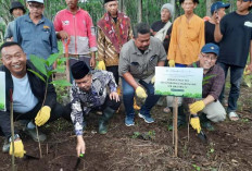Gandeng IPB, Pemkab Situbondo Tanam 20 Ribu Tanaman Buah di Kawasan Hutan