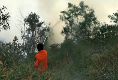  Karhutla Kembali Melanda TNBTS Tosari Pasuruan, Api Merembet ke Bukit Kingkong