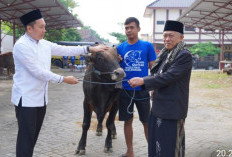 Polres Bojonegoro Salurkan 22 Sapi dan 40 Kambing Kurban pada Iduladha 1447 Hijriah
