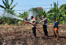 Hadapi Kemarau, Polres Pelabuhan Tanjung Perak Gandeng Damkar Siram Lahan Jagung Ketahanan Pangan