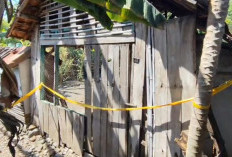 Bayi Perempuan Dibungkus Tikar Plastik Ditemukan di Kandang Kambing Desa Balung Situbondo