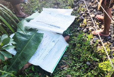 Nestapa di KM 157 Jember: Tak Dengar Teriakan Warga, Nyawa Nenek Melayang