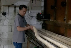 Perajin Tempe di Jaktim Kecipratan Untung dari Dapur MBG, Omzet Bertambah