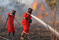 Karhutla Mengancam Lingkungan dan Kesehatan, Pencegahan Jadi Kunci