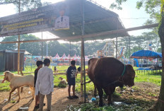 Jamin Kelayakan Hewan Kurban di Jember, Gus Fawait: Kami Ingin Warga Merasa Aman dan Nyaman Beribadah