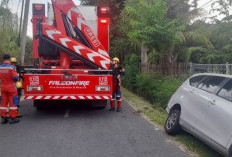 Hindari Mobil, Toyota Calya Masuk Selokan di Medokan Semampir Surabaya
