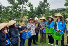 BRUDIFA Brunei Darussalam Kunjungi Situbondo, Jajaki Kerja Sama dan Promosikan Potensi Daerah