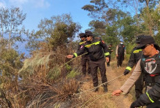 Polres Lumajang Kerahkan Personel Bantu Antisipasi Karhutla TNBTS Meluas