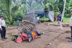 Polisi Musnahkan Arena Sabung Ayam di Dampit Malang