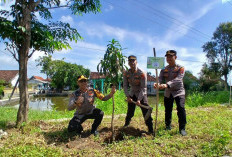 Rawan Diterjang Banjir Kali Lamong, PWI Gresik Tanam Pohon di Tanggul Desa Jono