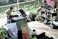 Terekam CCTV, Komplotan Curanmor Gasak Motor Warga Andonosari Pasuruan