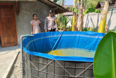 Dukung Ketahanan Pangan, Bhabinkamtibmas Babatan Pantau Kolam Ikan Warga