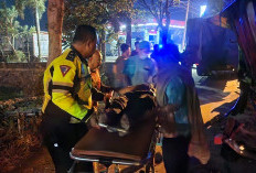 Kecelakaan Maut di Jalur Lamongan-Deket: Tiga Truk Gencet Pengendara Motor hingga Tewas