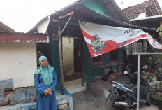 Suami Ditahan, IRT Situbondo Hidupi Tiga Anak dengan Upah Kupas Bawang Rp30 Ribu