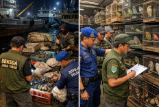 BBKSDA Jatim Perketat Pengawasan Penyelundupan Satwa Liar di Jalur Alternatif dan Perairan Pasca Lebaran