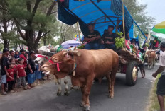 Lestarikan Tradisi Leluhur, 36 Pegon Hiasi Pesisir Selatan Jember Dalam Festival Ketupat