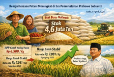 Era Prabowo, Petani Sejahtera Harga Gabah Stabil dan Stok Beras Nasional Melimpah