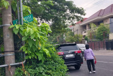 Terhalang Rimbun Daun dan Sasaran Vandalisme, Papan Nama Jalan Musi Surabaya Sulit Terbaca Pengguna Jalan