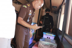 TPPU Minerba, Jaksa Sita Barang Bukti Uang Tunai Rp6,17 Miliar dan Emas 100 Kg