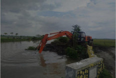Cegah Banjir dan Jaga Irigasi, DPUPR Jombang Percepat Normalisasi Afvour Dero di DAS Watudakon