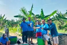 Menepis Stigma Individualis, Warga Lembah Harapan Lidah Wetan Kompak Budidaya Lele